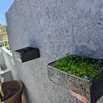 Casa Ascencao, Vista Mar Madeira * Funchal (Madeira)
