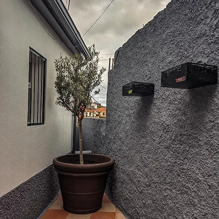 Casa Ascencao, Vista Mar Madeira فيلة