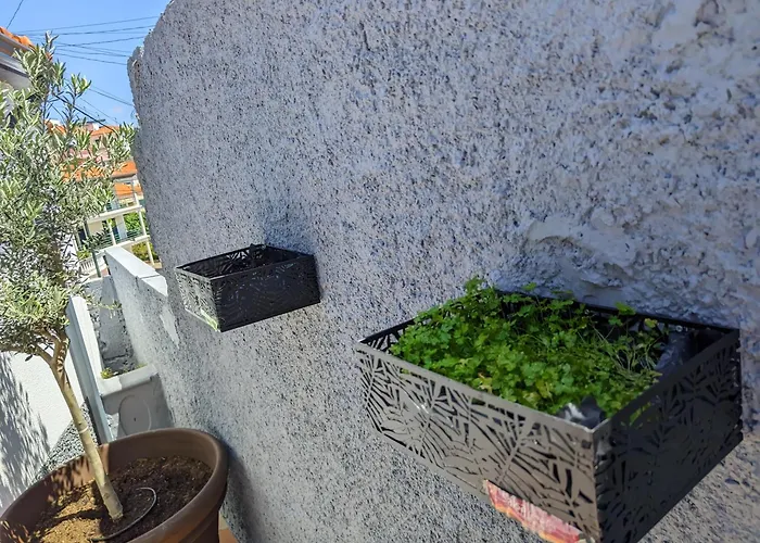 Casa Ascencao, Vista Mar Madeira * 푼샬