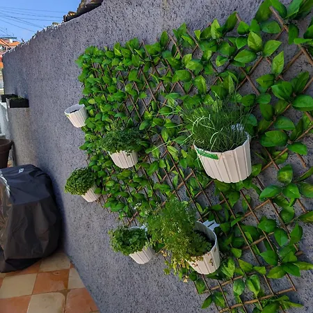 别墅 Casa Ascencao, Vista Mar Madeira *