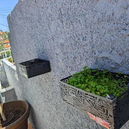 Casa Ascencao, Vista Mar Madeira * 丰沙尔
